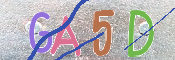 キャプチャ画像